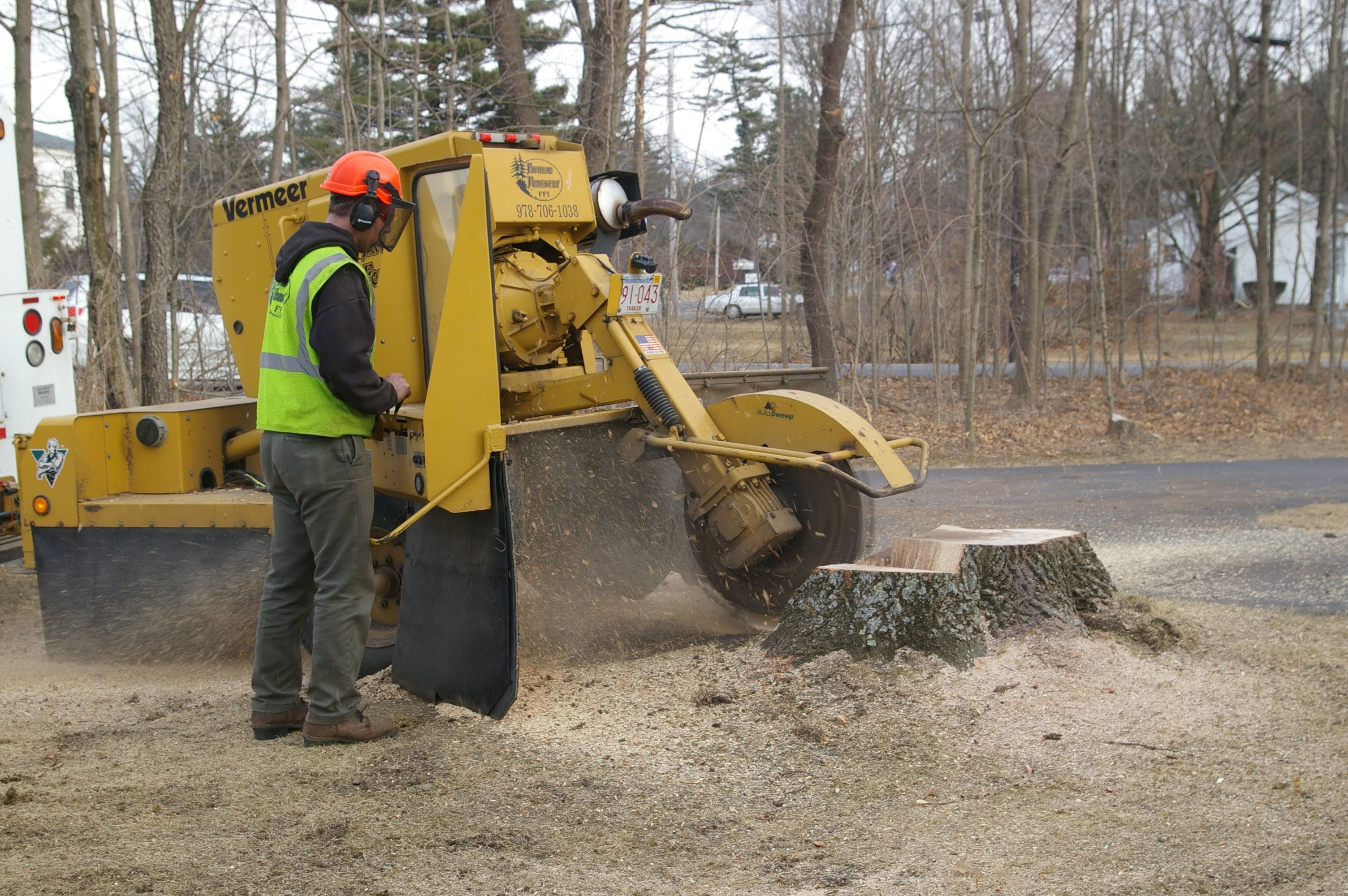 Mr. Tree Worx LLC: Service Image-4 Mr. Tree Worx LLC: Service Image-4